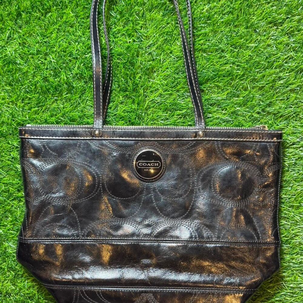 Coach Women's Black and Brown Bag